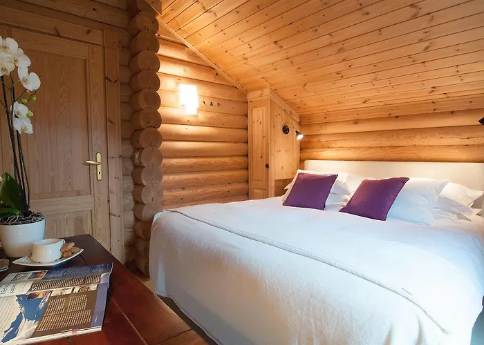 酒店 Alpine Comfort *