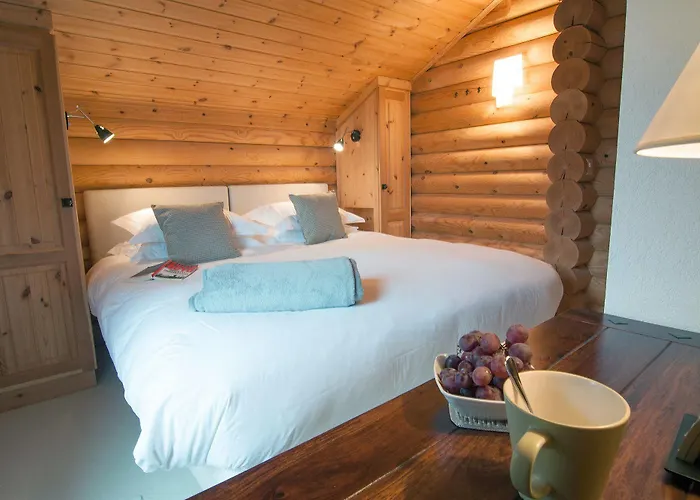 Hotel Alpine Comfort Nendaz